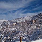 سفری زمستانه به روستای لاشک نوشهر در یک نگاه + تصاویز