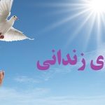 مرد کتابفروش زندانی آزاد کرد