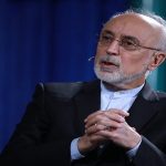 ایران هیچ کاری خلاف تعهدات پادمانی خود نکرده است/ باید از تجربه برجام استفاده کنیم